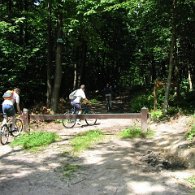 00007_IMG_0360